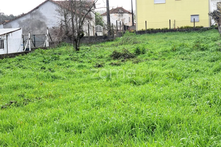 Terreno para Venda em Santiago e São Simão de Litém e Albergaria dos Doze Foto 2