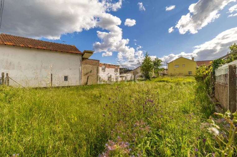 Terreno para Venda em Santiago e São Simão de Litém e Albergaria dos Doze Foto 3