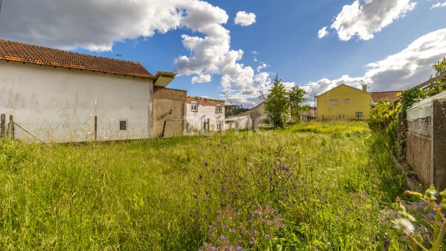 Terreno para Venda em Santiago e São Simão de Litém e Albergaria dos Doze