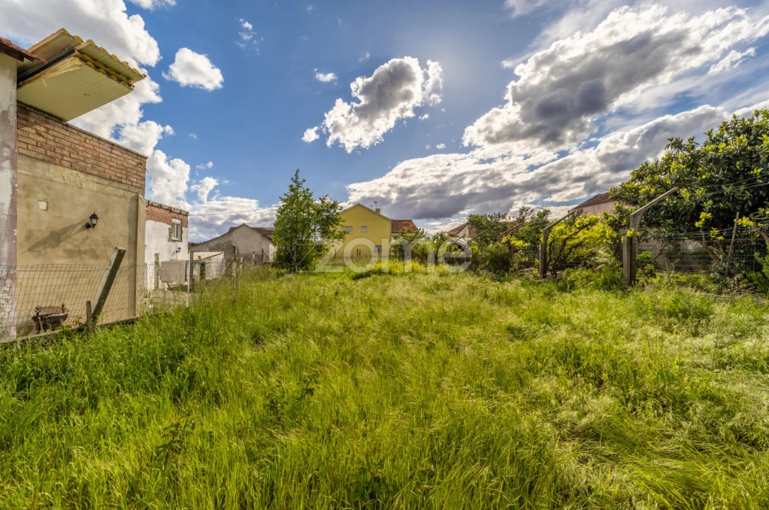 Terreno para Venda em Santiago e São Simão de Litém e Albergaria dos Doze Foto 1