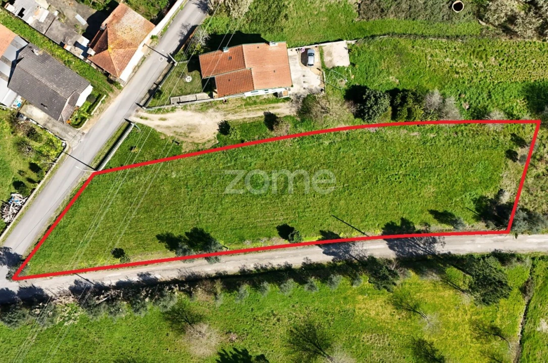 Terreno para Venda em Bustos, Troviscal e Mamarrosa Foto 8