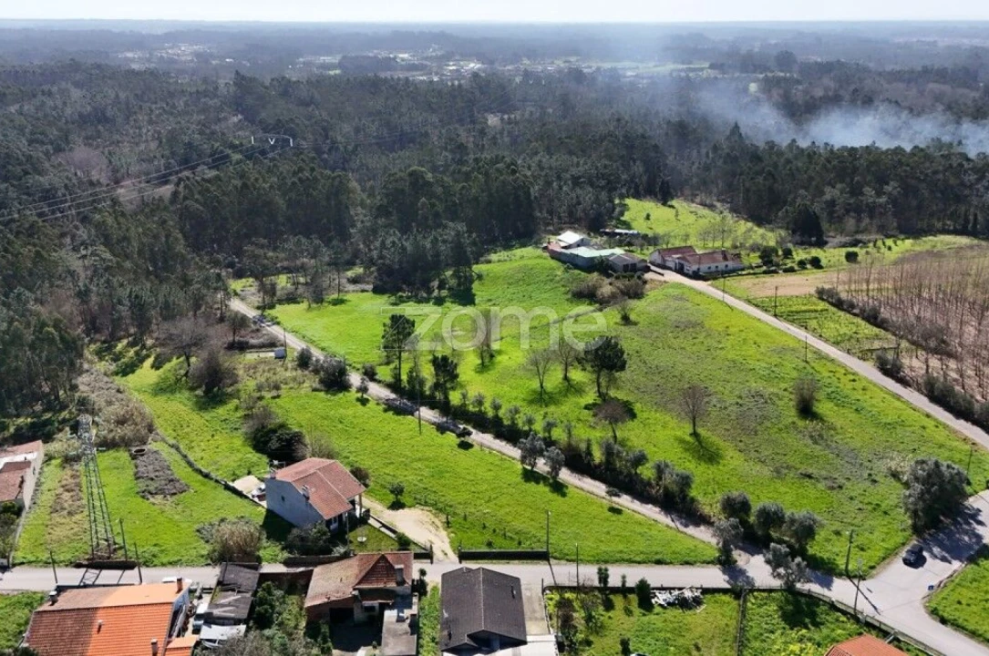 Terreno para Venda em Bustos, Troviscal e Mamarrosa Foto 15