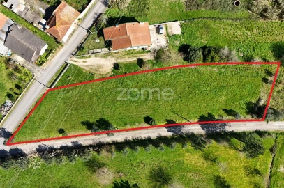 Terreno para Venda em Bustos, Troviscal e Mamarrosa