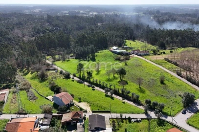Terreno para Venda em Bustos, Troviscal e Mamarrosa