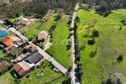 Terreno para Venda em Bustos, Troviscal e Mamarrosa