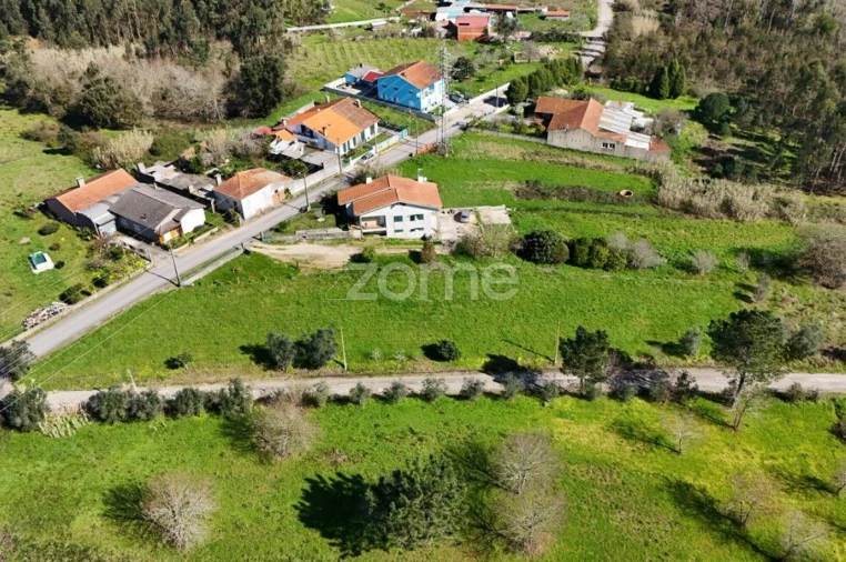 Terreno para Venda em Bustos, Troviscal e Mamarrosa Foto 9