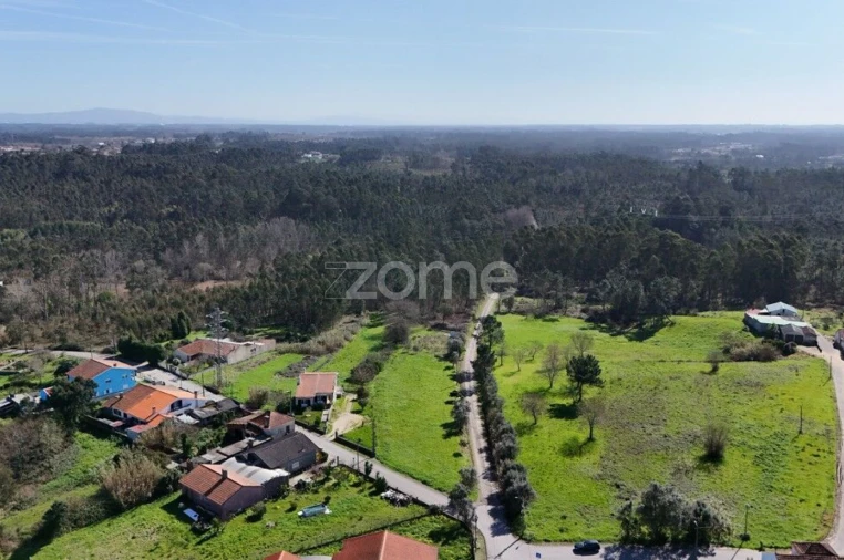 Terreno para Venda em Bustos, Troviscal e Mamarrosa Foto 6