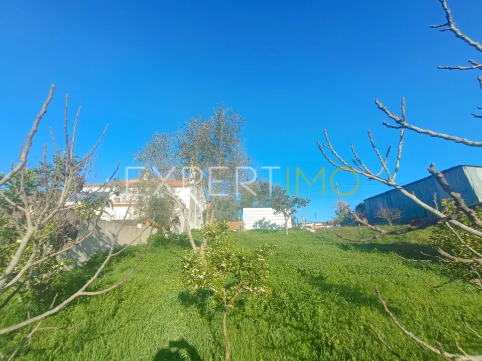 Terreno para Venda em Cabrela Foto 2