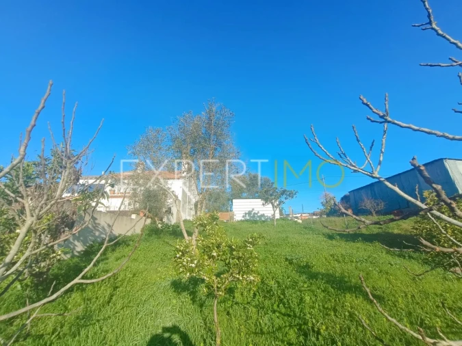 Terreno para Venda em Cabrela Foto 2