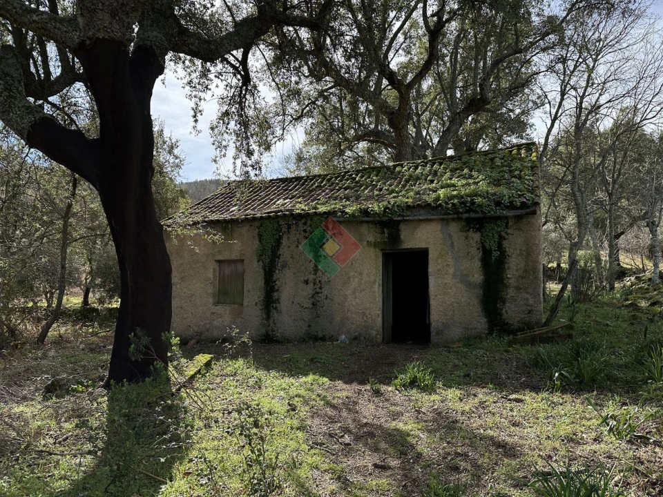 Quinta T0 para Venda em Santa Maria da Devesa Foto 2