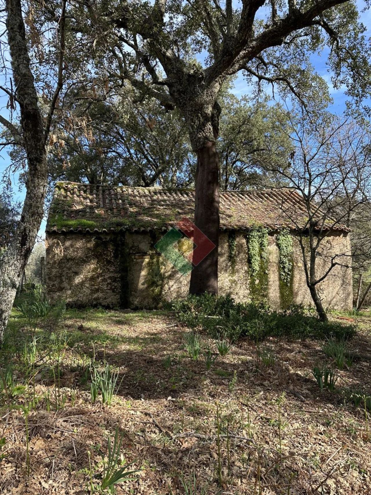 Quinta T0 para Venda em Santa Maria da Devesa Foto 3