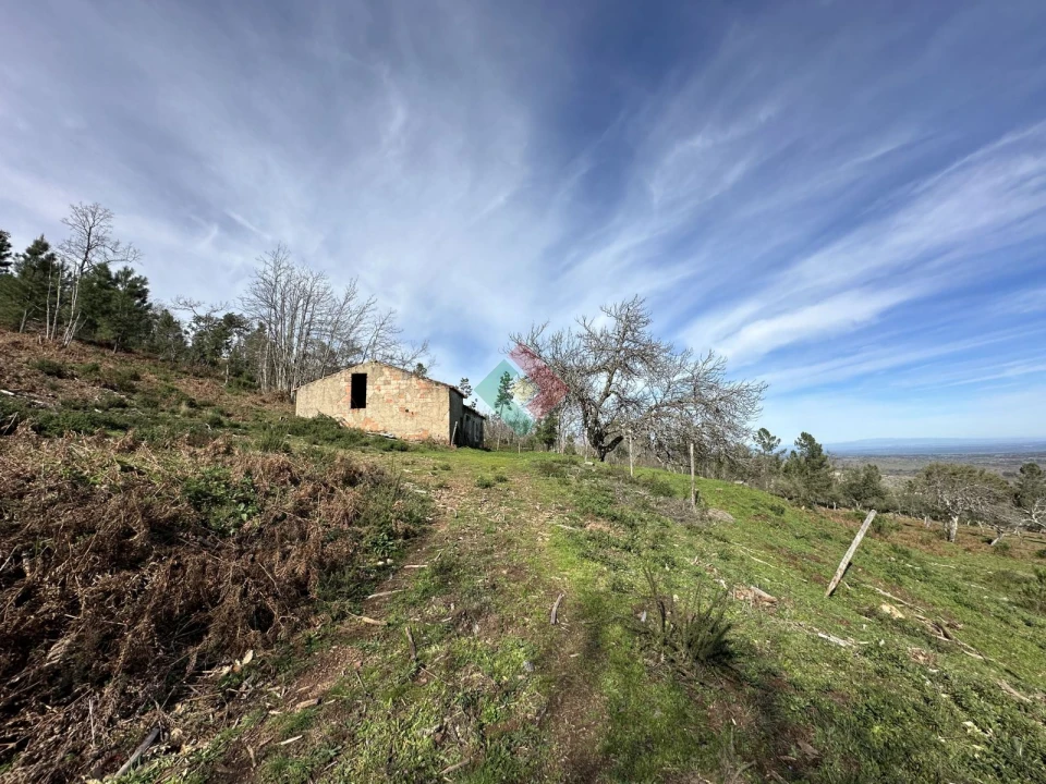 Quinta T0 para Venda em Santa Maria da Devesa Foto 5