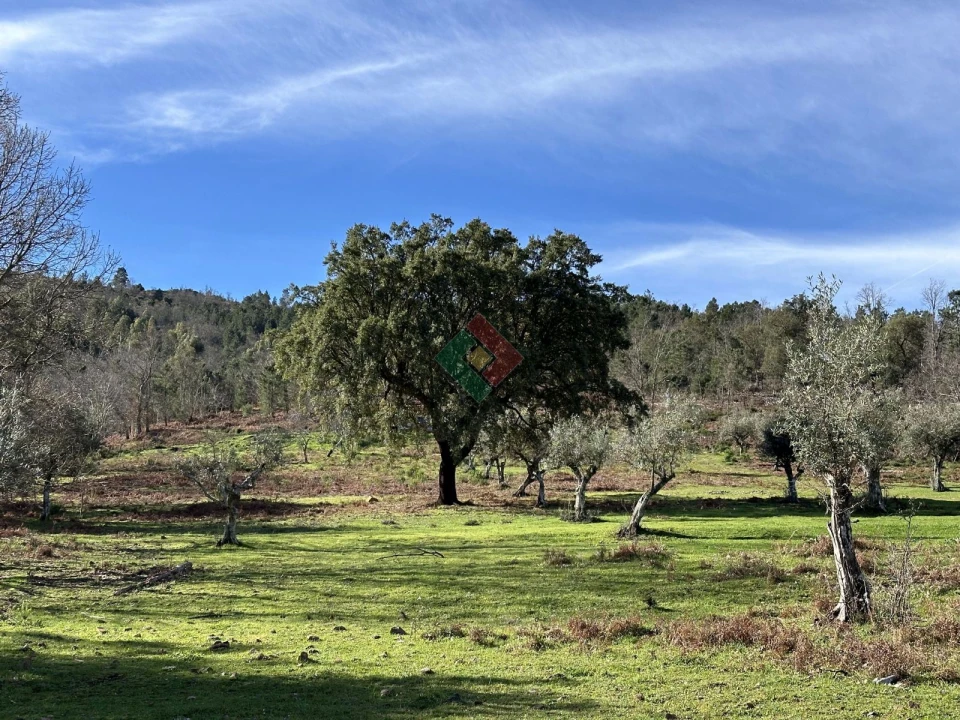 Quinta T0 para Venda em Santa Maria da Devesa Foto 8