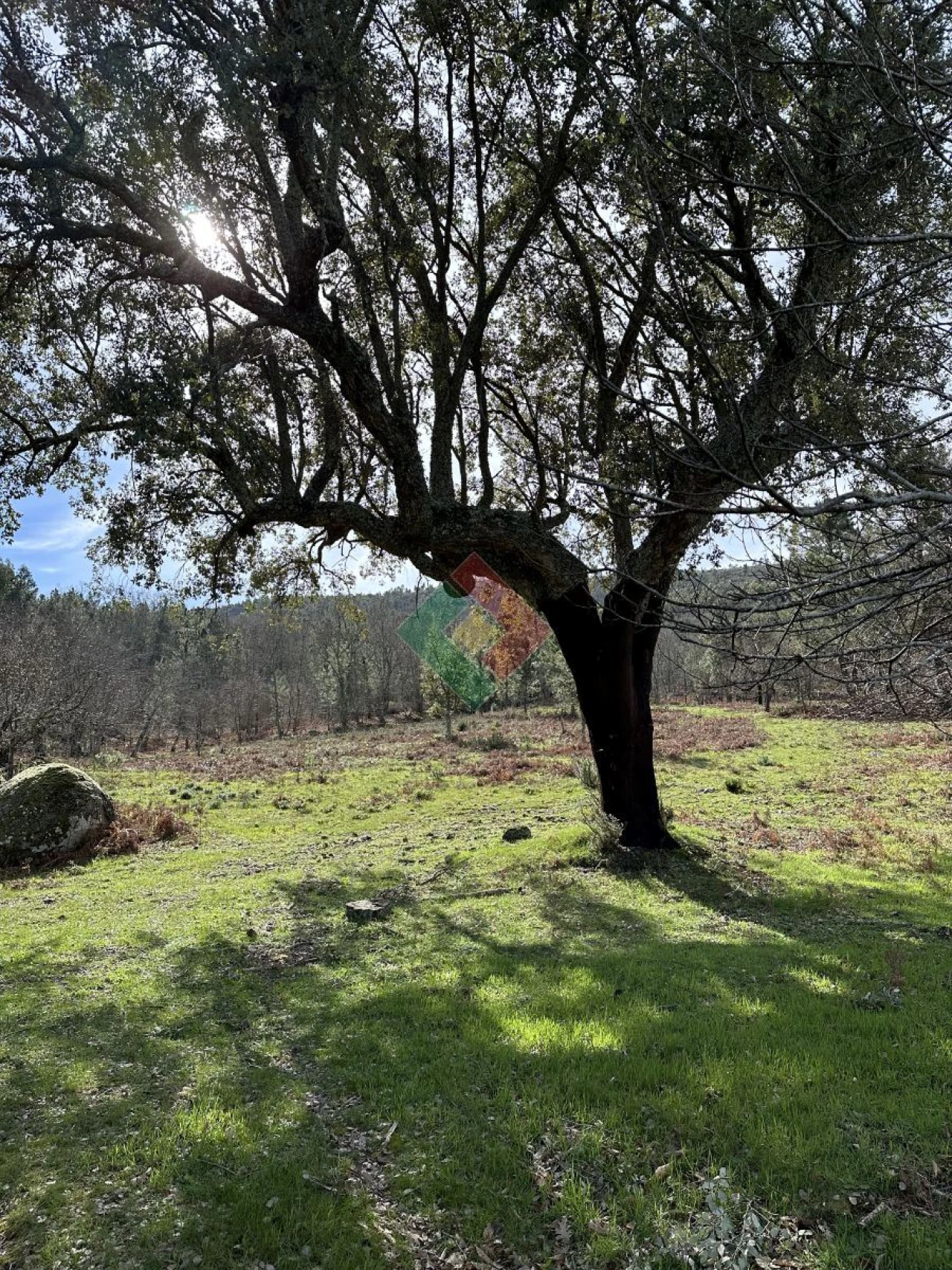 Quinta T0 para Venda em Santa Maria da Devesa Foto 9