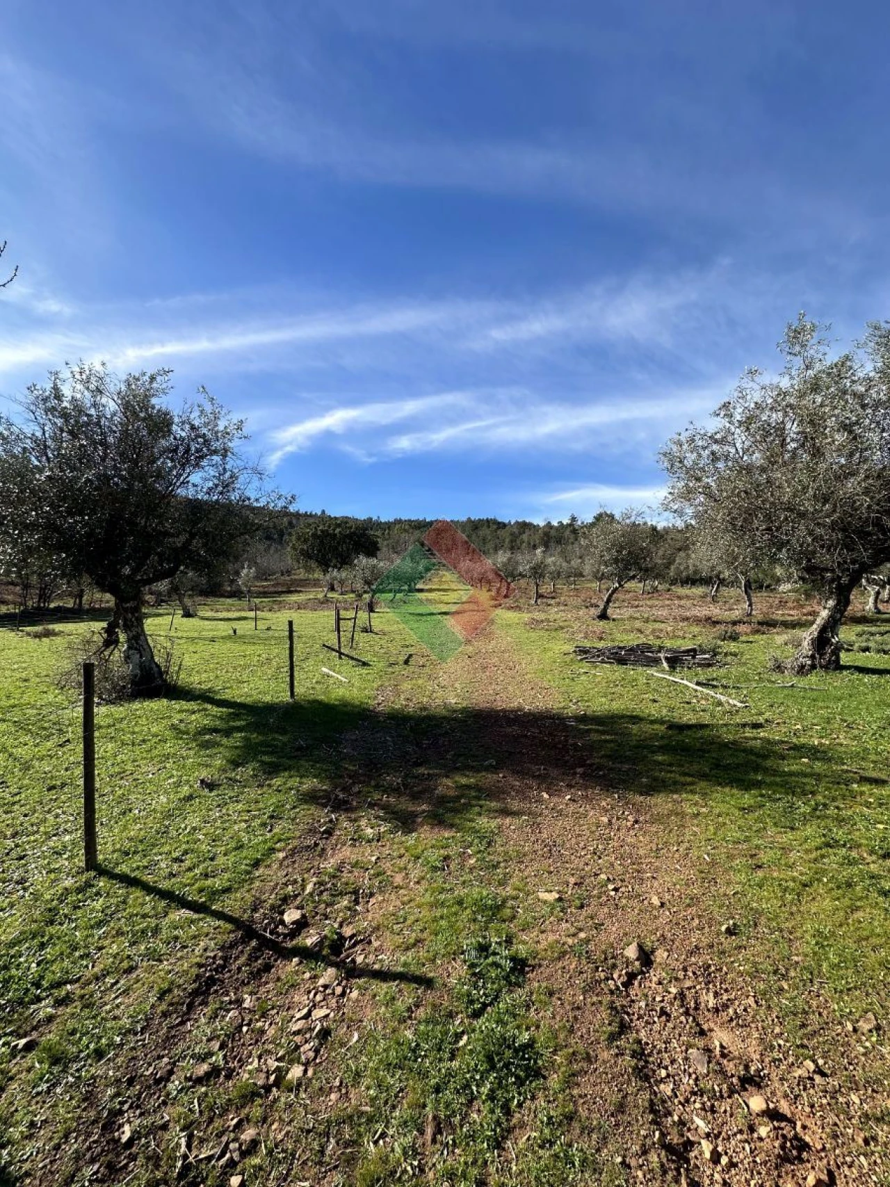 Quinta T0 para Venda em Santa Maria da Devesa Foto 11