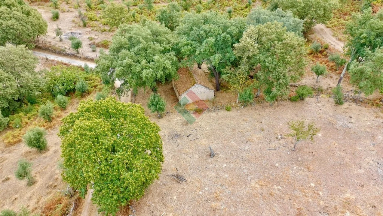 Quinta T0 para Venda em Santa Maria da Devesa Foto 15