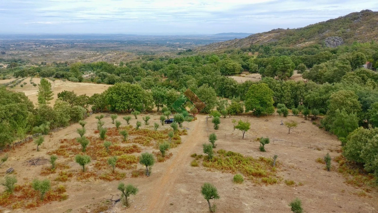 Quinta T0 para Venda em Santa Maria da Devesa Foto 18