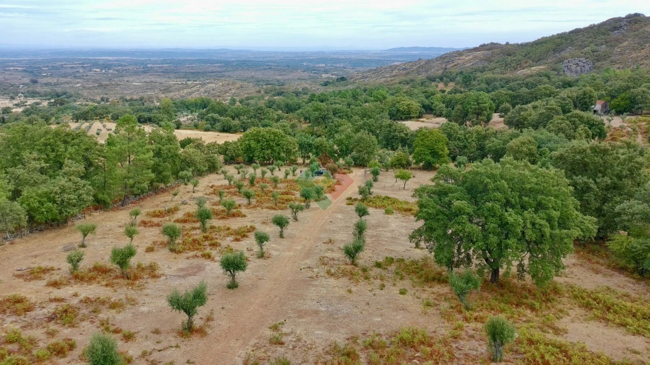 Quinta T0 para Venda em Santa Maria da Devesa Foto 19