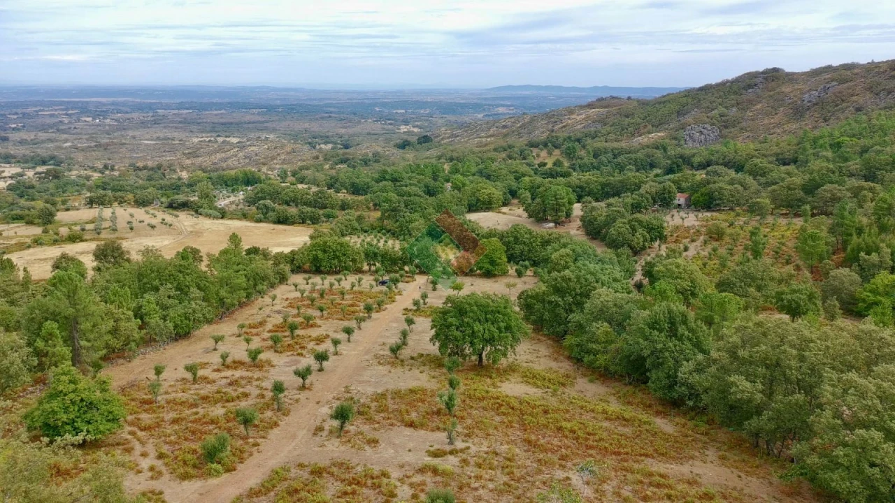 Quinta T0 para Venda em Santa Maria da Devesa Foto 20