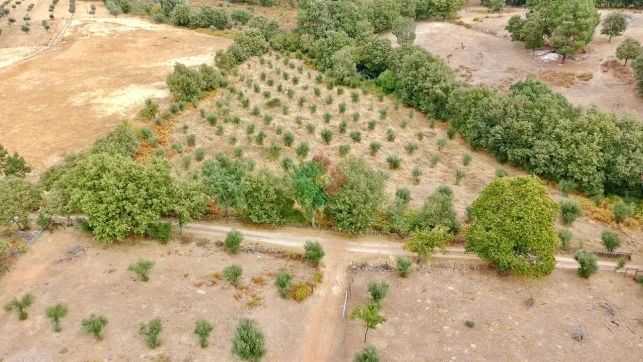 Quinta T0 para Venda em Santa Maria da Devesa Foto 22