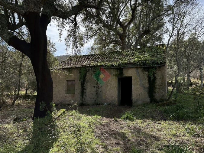 Quinta T0 para Venda em Santa Maria da Devesa Foto 2