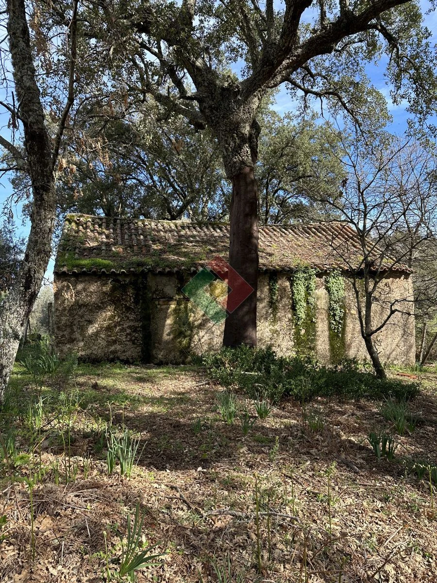 Quinta T0 para Venda em Santa Maria da Devesa Foto 3