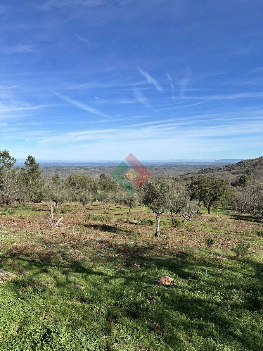 Quinta T0 para Venda em Santa Maria da Devesa Foto 4