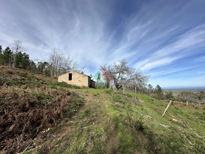 Quinta T0 para Venda em Santa Maria da Devesa Foto 5