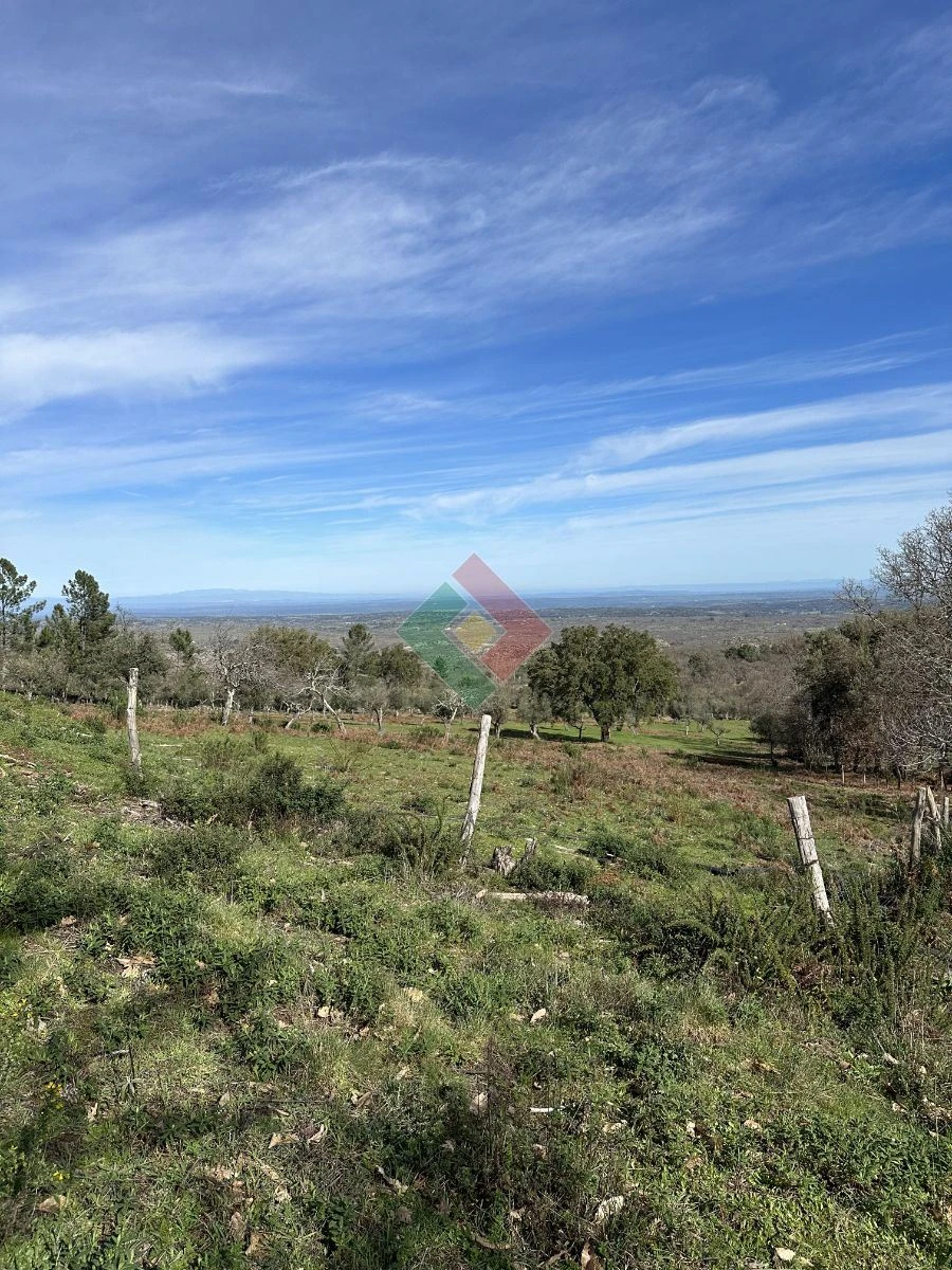 Quinta T0 para Venda em Santa Maria da Devesa Foto 6