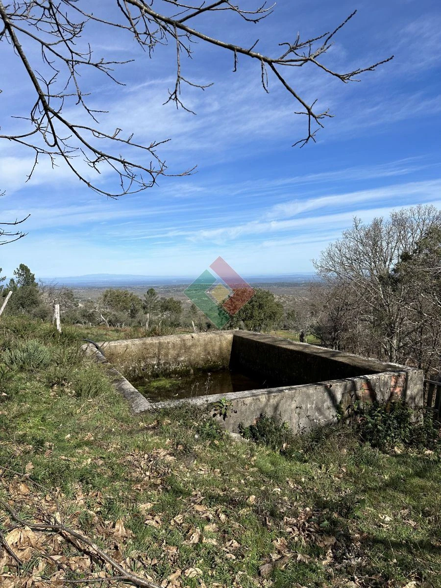 Quinta T0 para Venda em Santa Maria da Devesa Foto 7