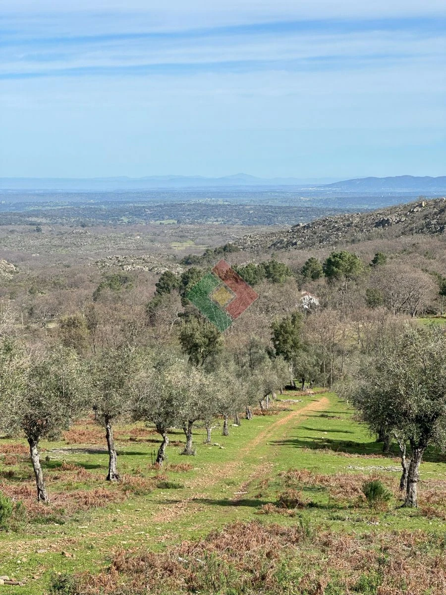 Quinta T0 para Venda em Santa Maria da Devesa Foto 12