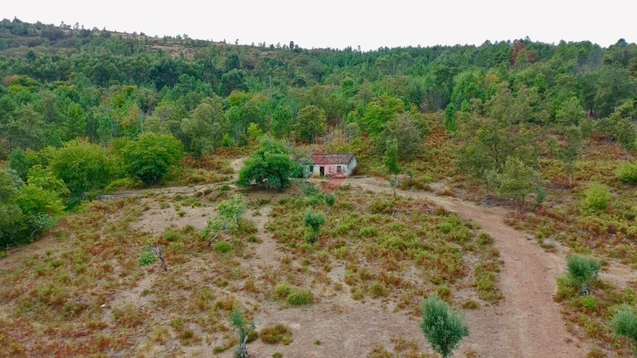 Quinta T0 para Venda em Santa Maria da Devesa Foto 14