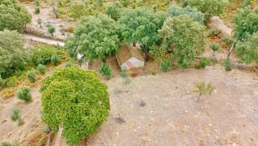 Quinta T0 para Venda em Santa Maria da Devesa Foto 15