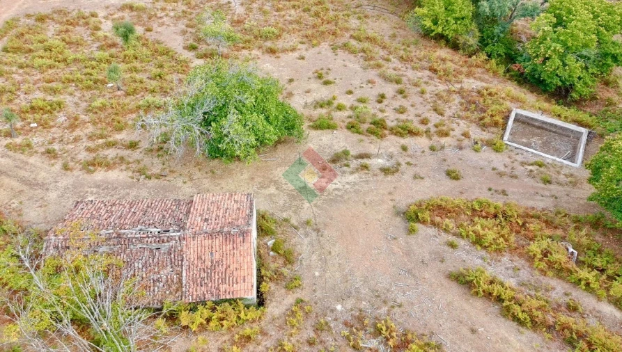 Quinta T0 para Venda em Santa Maria da Devesa Foto 16