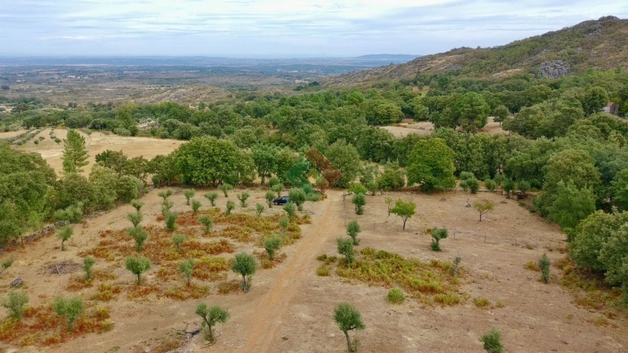 Quinta T0 para Venda em Santa Maria da Devesa Foto 18