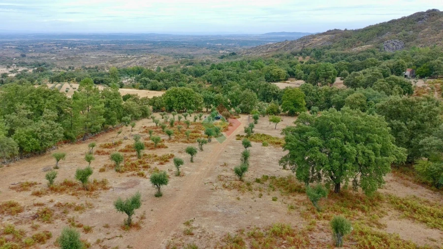 Quinta T0 para Venda em Santa Maria da Devesa Foto 19