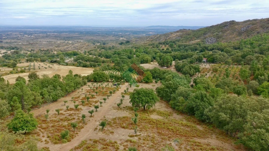 Quinta T0 para Venda em Santa Maria da Devesa Foto 20
