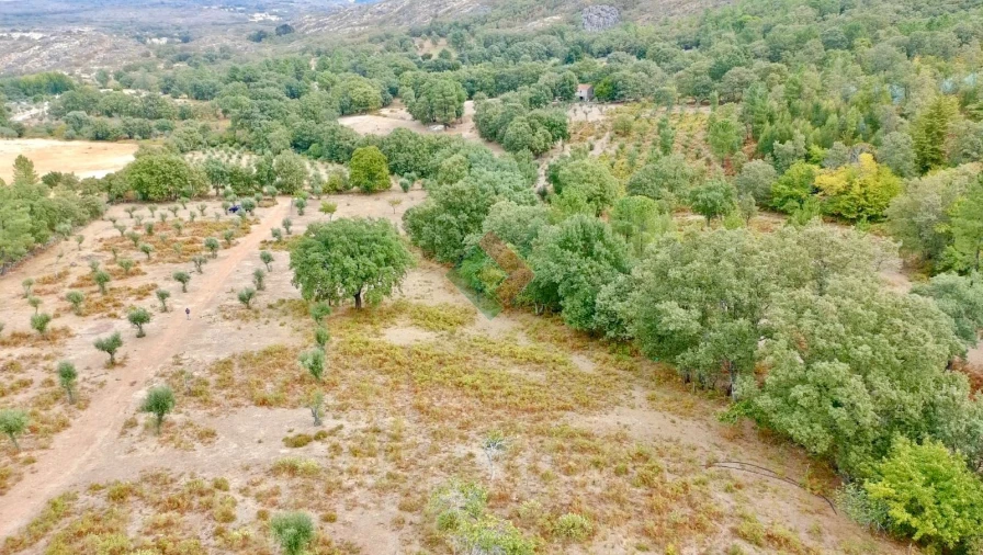 Quinta T0 para Venda em Santa Maria da Devesa Foto 21
