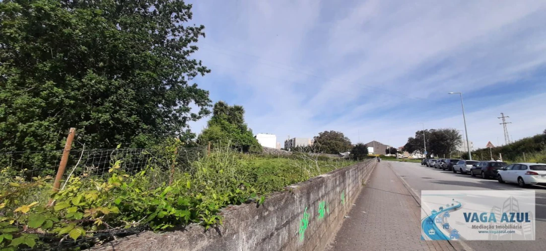 Terreno Agricola ou Rústico para Venda em Rio Tinto Foto 3