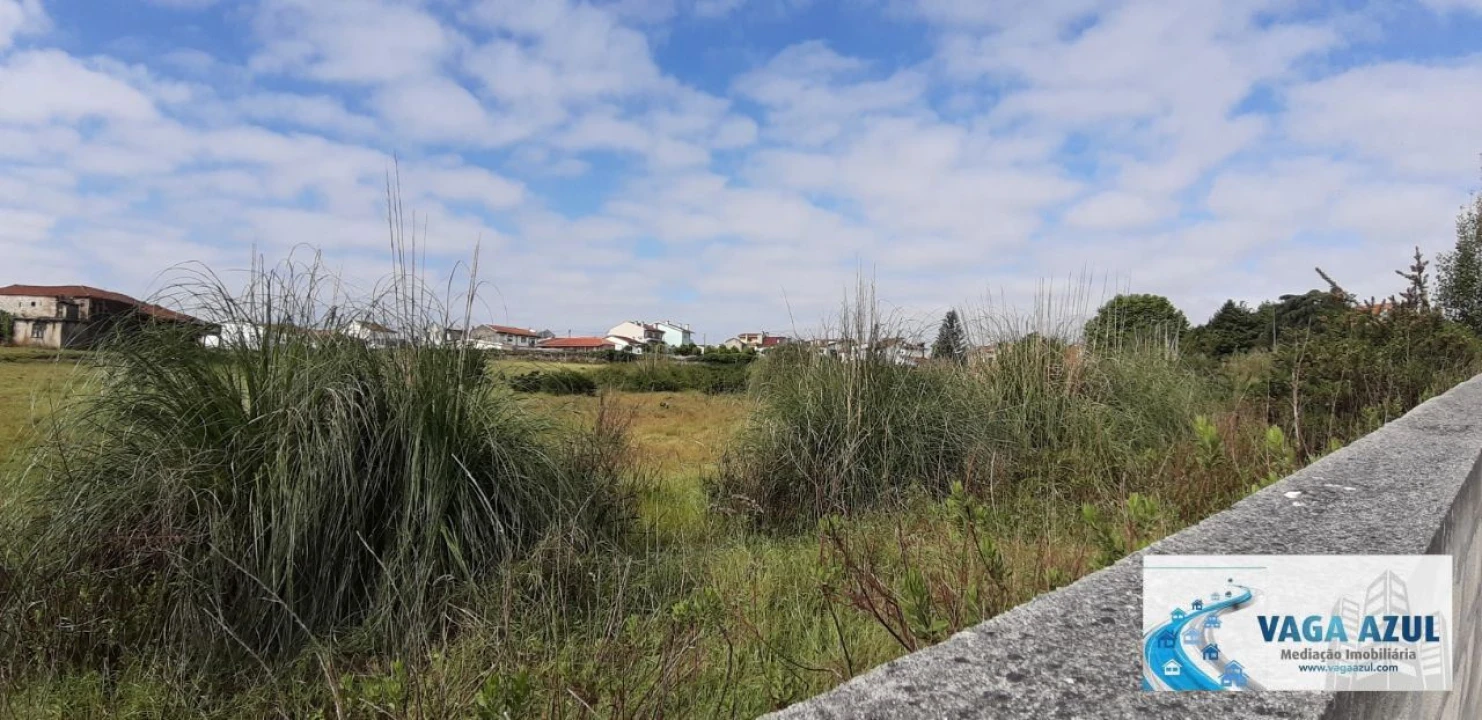 Terreno Agricola ou Rústico para Venda em Rio Tinto Foto 10