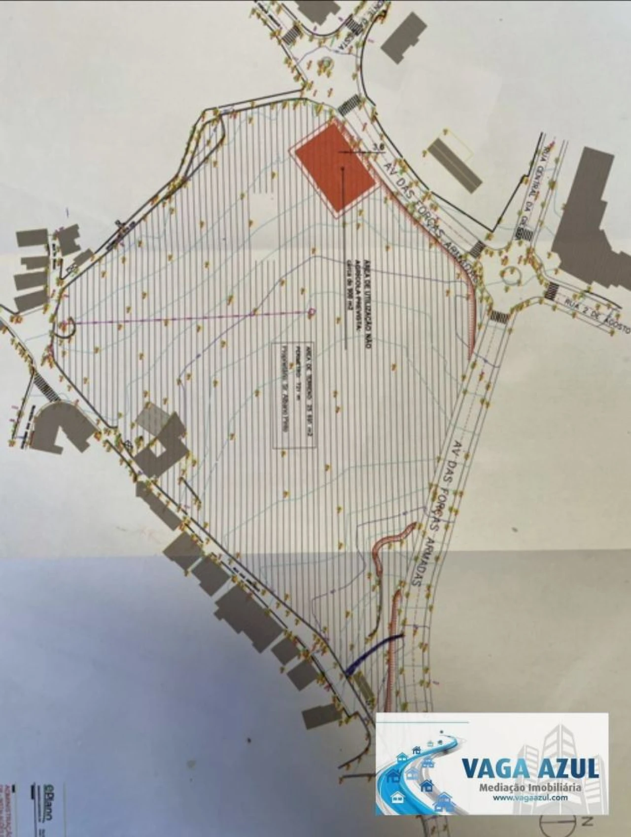 Terreno Agricola ou Rústico para Venda em Rio Tinto Foto 17