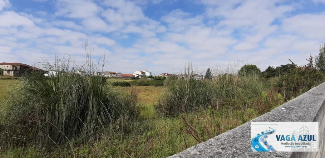 Terreno Agricola ou Rústico para Venda em Rio Tinto Foto 10