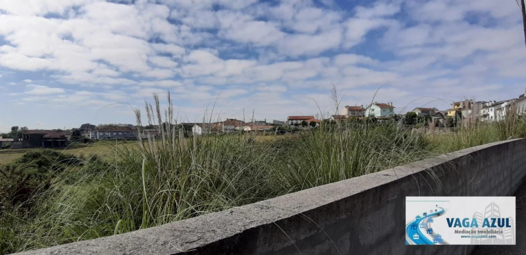 Terreno Agricola ou Rústico para Venda em Rio Tinto Foto 13