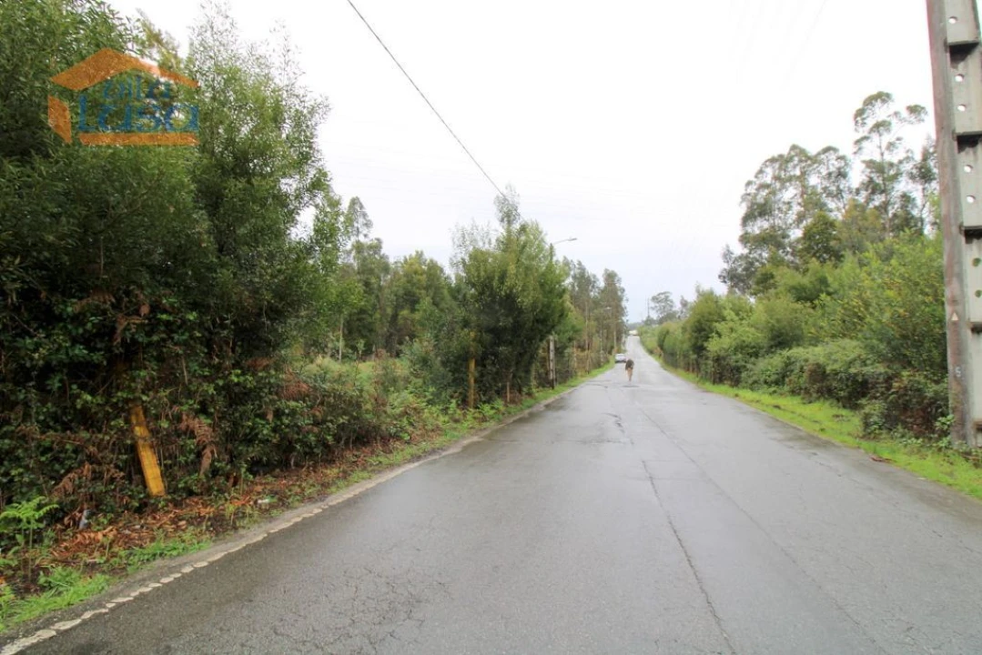 Terreno Agricola ou Rústico para Venda em Rio Meão Foto 10