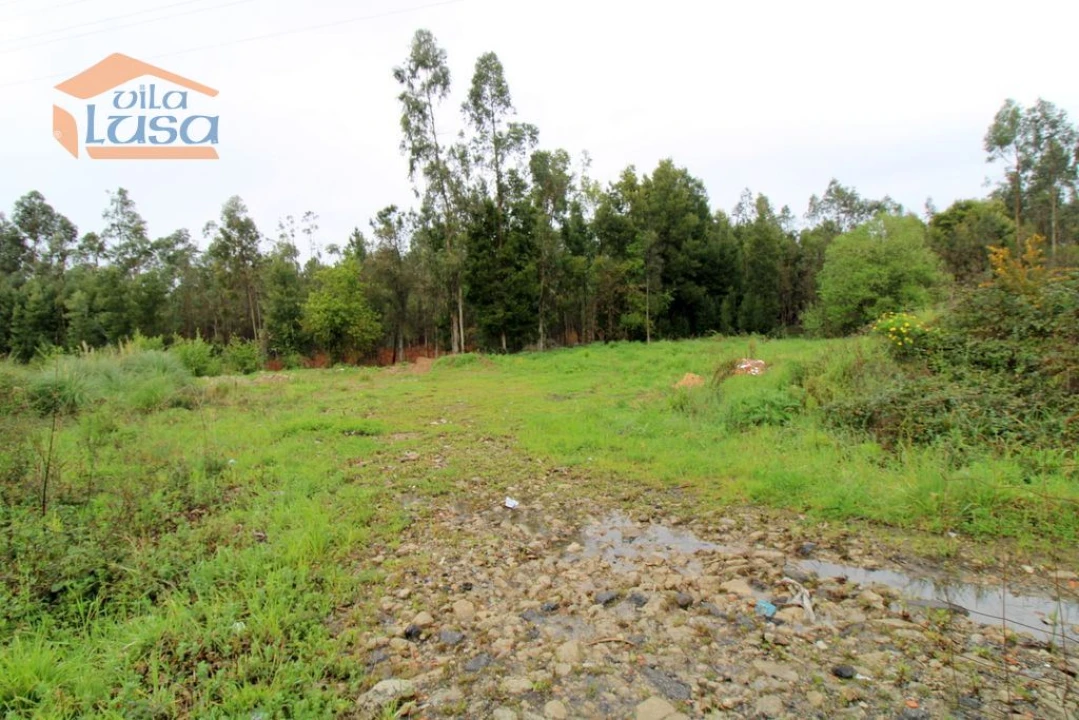 Terreno Agricola ou Rústico para Venda em Rio Meão Foto 12