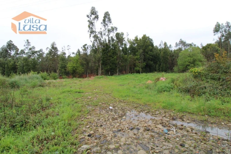 Terreno Agricola ou Rústico para Venda em Rio Meão Foto 3