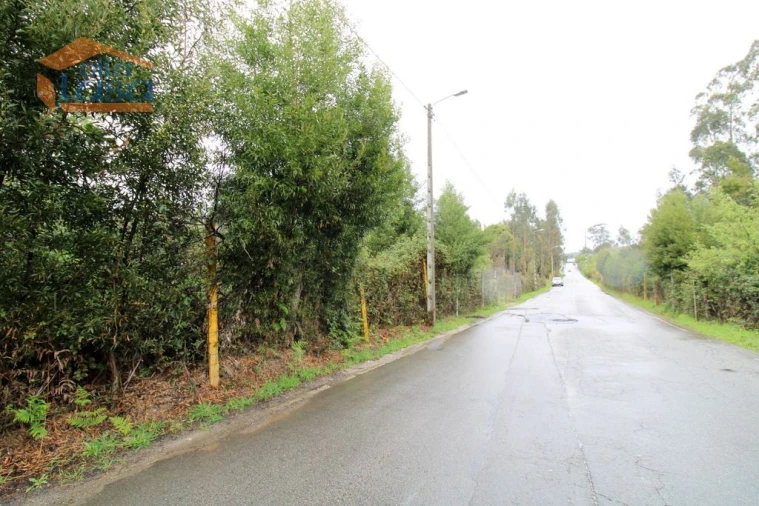Terreno Agricola ou Rústico para Venda em Rio Meão Foto 11