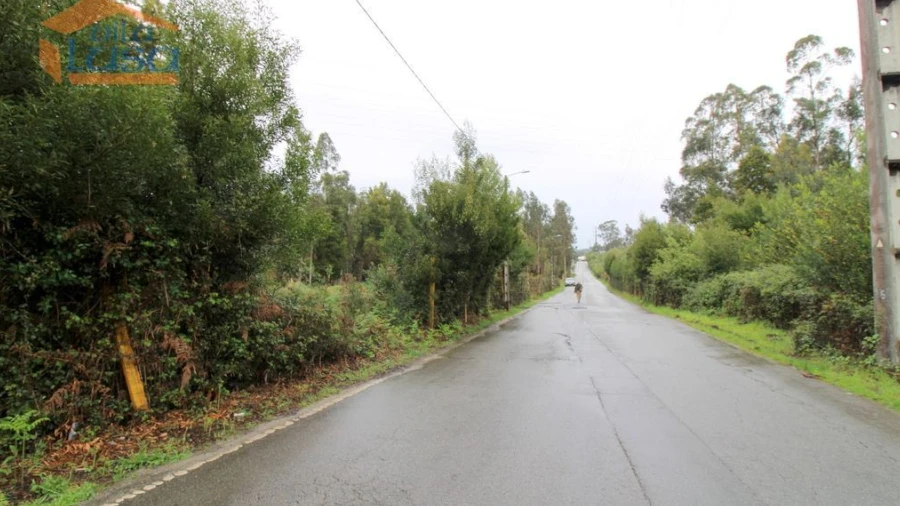 Terreno Agricola ou Rústico para Venda em Rio Meão