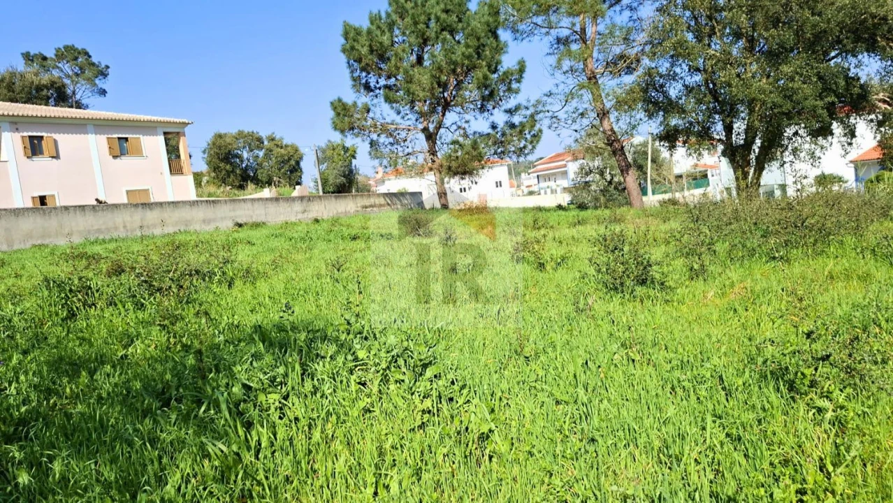 Terreno para Venda em Salir de Matos Foto 8