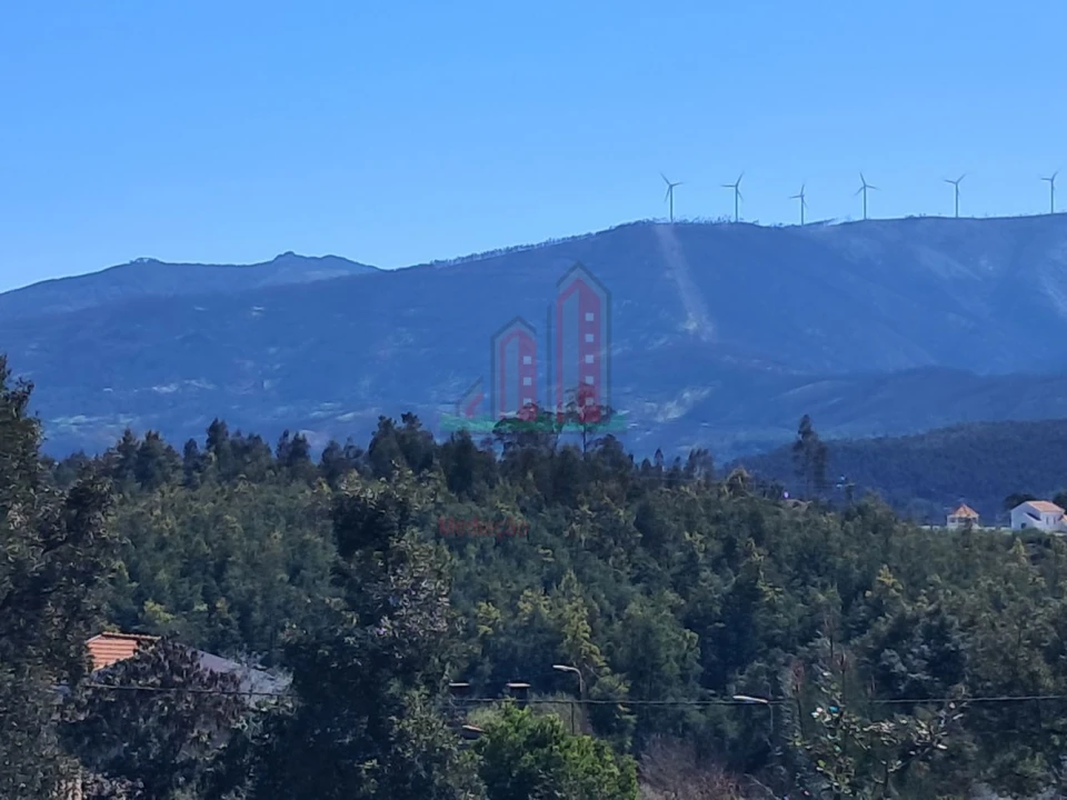 Moradia T3 para Venda em Serpins Foto 30